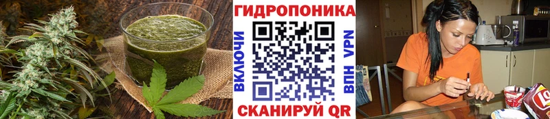 Купить  Мытищи  Canna-Cookies конопля 
