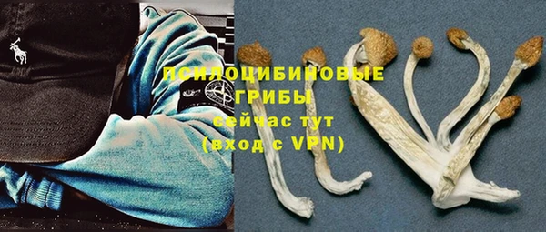 каннабис Каменногорск