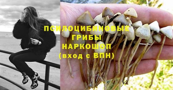 гашиш Каменка