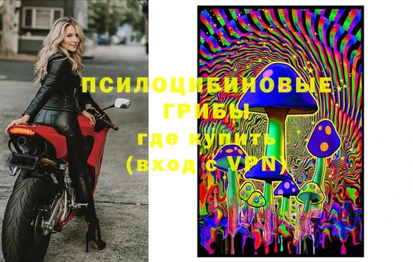 гашиш Каменка