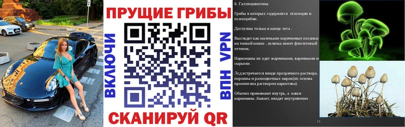 Псилоцибиновые грибы Cubensis  Купить закладки  Мытищи 